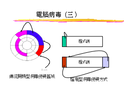 電腦病毒（三）