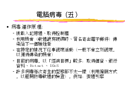 電腦病毒（五）
